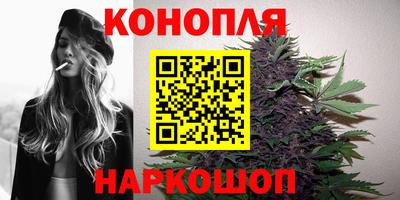 прущая мука Пугачёв