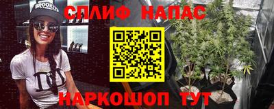 прущая мука Пугачёв