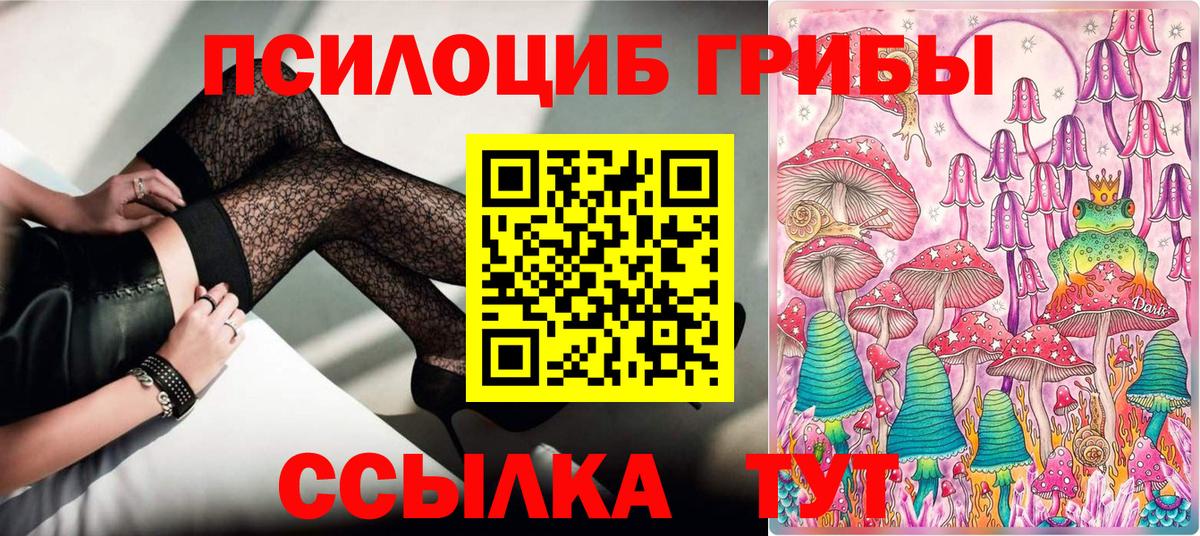 Сафоново  Псилоцибиновые грибы Psilocybe  Вход с VPN 